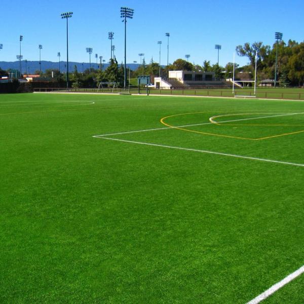 Forever Green Artificial Grass Football Pitch / Football Artificial Turf Long