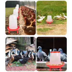 Plastic Automatic Handle Poultry Feeder 1.5kg 3kg 6kg 9kg For Chicken Farm