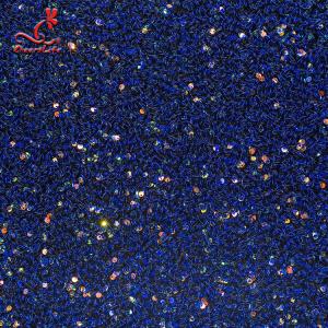 SGS Laser Sequins Shinny Embroidered Lace Fabric With Elastic Mesh