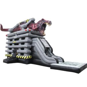 Inflatable Water Slide Commercial Customized Color Inflatable Pool Slide for