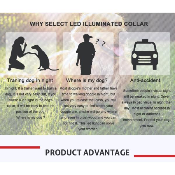 Colorful Walking Safety Luxury Dog Collars , New Style Adjustable Dog Collar