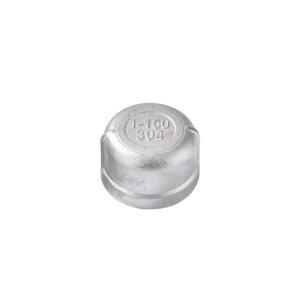 Customized Support ODM Round End Plug Pipe Fittings for WZSS 201 304 316 NPT BSP