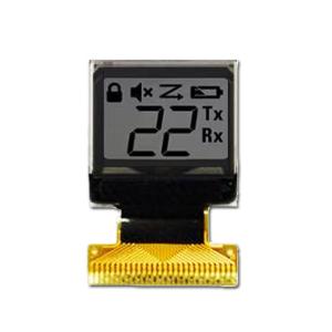 64x48 Low Power PMOLED For Medical Devices