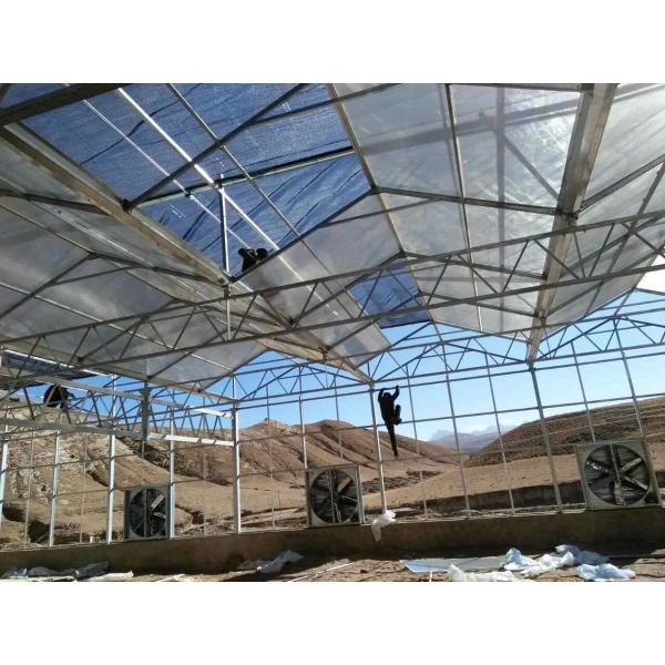 Multi Functional 4m Polycarbonate Film Greenhouse Side Ventilation