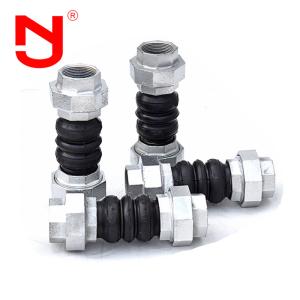 Stainless Steel Screwed Union Bspt Threaded Joint General Flexible Pipe