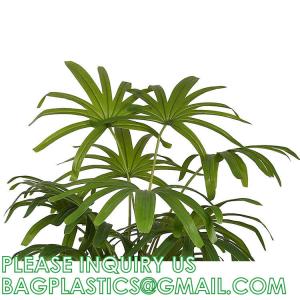 1.6m For Decoration Bonsai Artificial Fishtail Palm Plant, Artificial Tree Fake