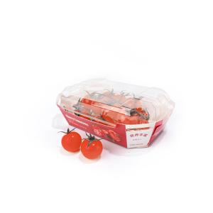 China Cherry Fruit And Vegetable Packaging Boxes , Folded Disposable Food Tray Boats on sale