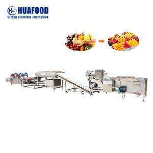 Kelp Seaweed Cleaning Machine Tomato Washing And Drying Machine
