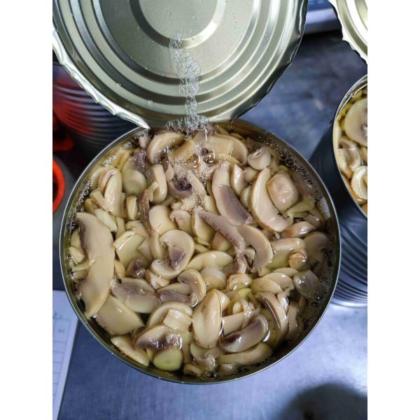 Salt Preserved Mushroom with Salt Preservation Process Minimum Order 1x20 Feet