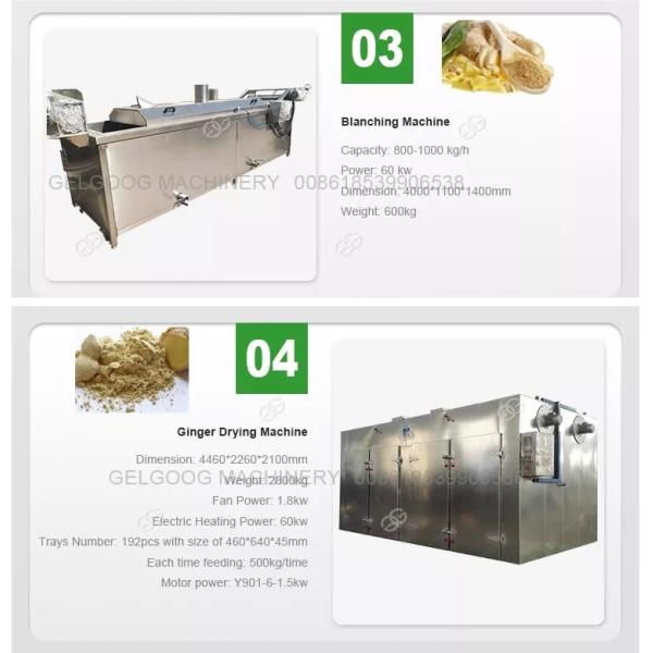 Hot Sale Ginger Powder Production Line Ginger Processing Business Plan