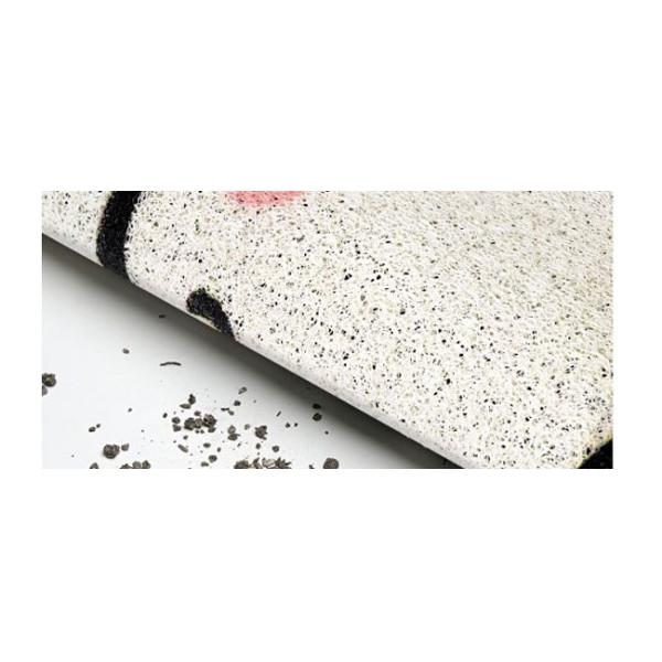 PVC Coil Custom Printed Door Mats 15mm