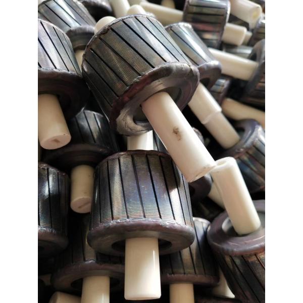 Quality High-Efficiency Laminated Rotor Core with Ceramic Shaft – Low-Loss Silicon-Steel Stack for BLDC Pumps & Fan Motors | Custom OD 20-60 mm wholesale
