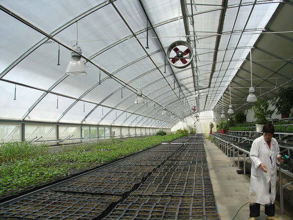 Quality 20.000kg Package Gross Weight Multi Span Tomato Cucumber Strawberry Growing Greenhouse wholesale