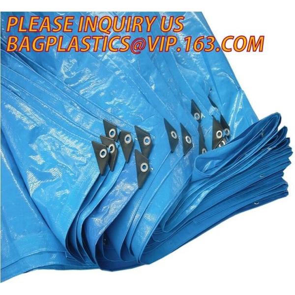 60gsm, 120gsm, 160gsm, 220gsm, 260gsm LDPE Laminated High Density Polyethylene