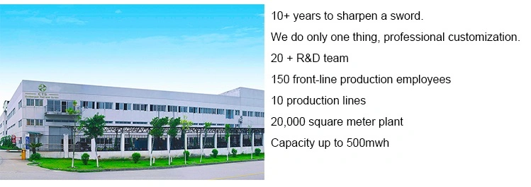 Lithium Ion Batteries 72v Ebike 30Ah 48v For Golf Cart E-Motorcycle Electric Motorcycle Battery