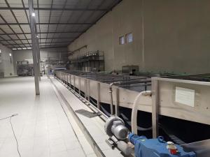 Cheap Water Bath Type Pasteurizing Tunnel Machine For Canned Tomato Paste Sizes From 70g To 3Kg Capacity Or Speed From 50 CPM To 600 CPM for sale