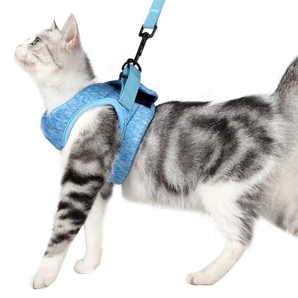 Out Traction Cat Walking Rope elastic Pet Chest Strap Magic Tool With Adjustable