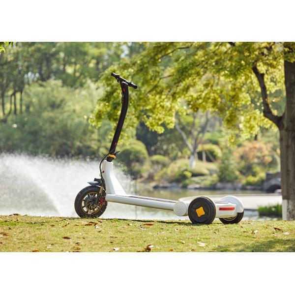 Quality Precursor Driving 250W Rain Proof Electric Scooter wholesale