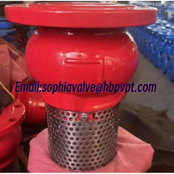 DN100 PN16 GGG50 ductile iron foot valve supplier