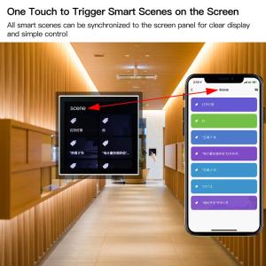Wifi Integrated Tuya Smart Life Compatible Devices Home Central Control System