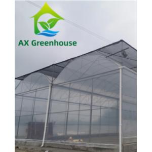 China 100micro 120micro 5 Layers Plastic Film Greenhouse Vegetable Farming on sale