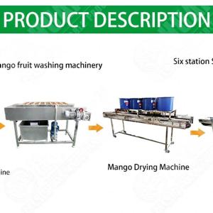 Frozen Vegetable And Fruit Production Line Ozone Vegetable Cleaning Machine
