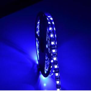 smd 12V 5050 led plant grow light strip 100m waterproof underwater ip 20 65 67