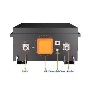 Customizable Electric Trolley Lithium Ion Battery for Your Requirements Power