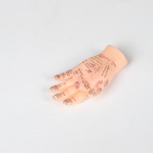 13cm Hand Acupuncture Point Model Chinese Acupuncture Teaching Model PVC