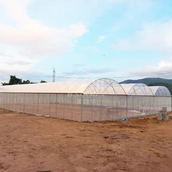 Coordinated 24x40m Ventilation Walk in Hothouse Kit Conservatory Hoophouse