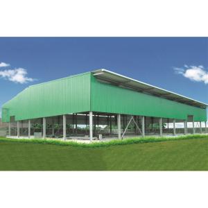 Cheap Ready Made Seismic Proof Prefabricated Metal Warehouse 5000 Square Meter for sale
