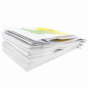 Disposable Mini SOS Kraft Barf Airline Sick Bags Without Handle