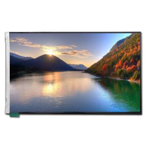 1200 RGB ×1920 WUXGA TFT LCD Screen with Mini Interface