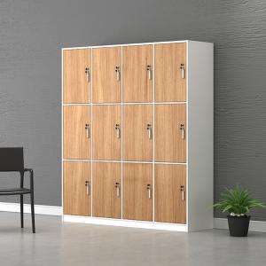 Solid Wood PANEL Employee Locker with Locking Storage Room for Gym Bathroom