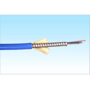 Home Armoured Blue 2.9mm (1core, 2core) Outer Diameter Optical Fiber Patch Cord