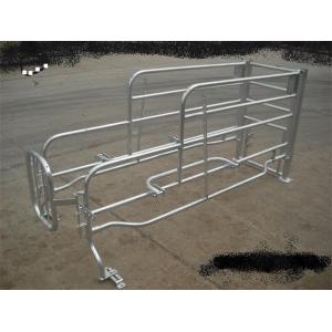 cheap price steel pig farrwoing crate for sale galvanized stall for pig