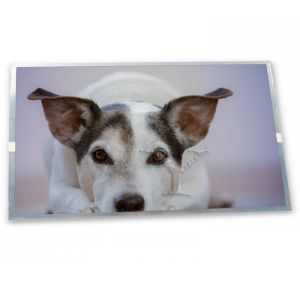 Cheap NL2432HC22-44B LCD 3.5-Inch WLED TFT LCD Display Module 240*320 Resolution LCD Modules ODM Supplier for sale