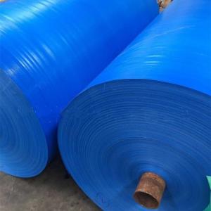 Coated Blue PE Tarpaulin Tent for Truck Rainproof Style Pattern Contact Contact