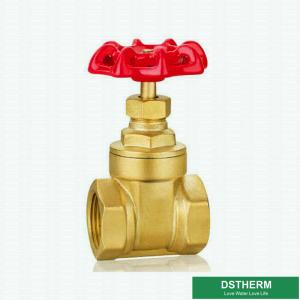 Customized Brand Brass Gate Valve Cast Iron Handle Double Female Heavier Type