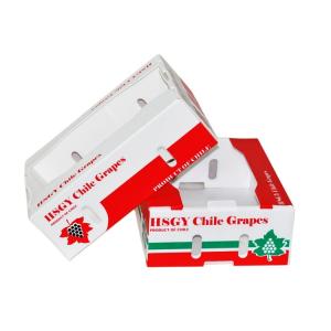 Embossing PP Vegetable Corrugated Boxes Rice Meat Corflute Box