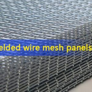 Anti-Rust Galvanized Welded Wire Mesh Panels Welded Wire Farm Mesh Home Fence
