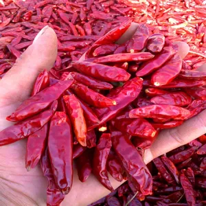 Cheap Peppers Chilli Moisture 12%max Moisture Controlled Peppers for sale