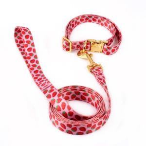 Hardware Print Fray Proof Adjustable Nylon Dog Collar/dog leash/dog harness