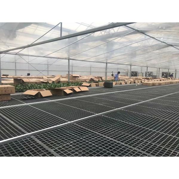 Quality Hot Dip Galvanized Greenhouse Planting Beds wholesale