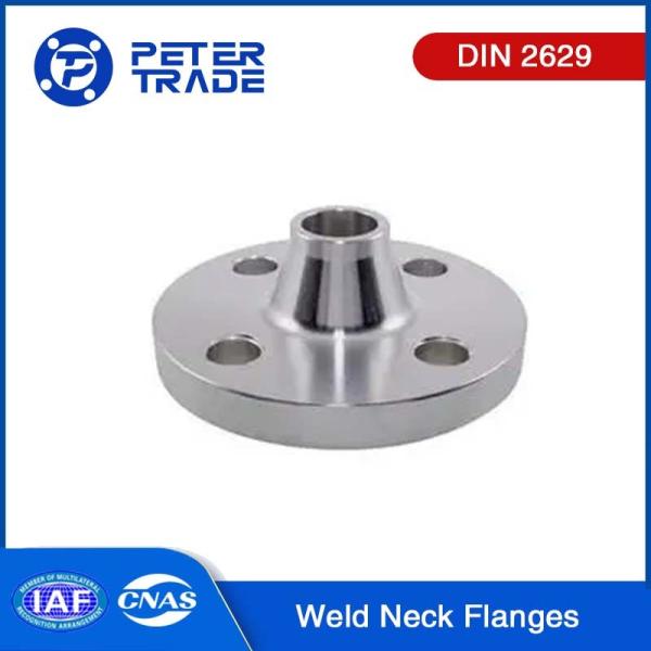 Quality Forging DIN 2629 A105 Carbon Steel And ASTM A182 F316 Stainless Steel Weld Neck Flanges WNRF PN320 for Pipe Systems wholesale