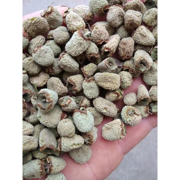 Traditional Chinese Herb Raspberry (Fu Pen Zi) Dried and Raw Processing for