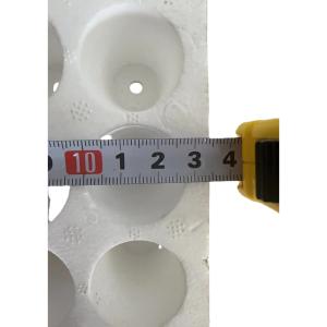 EPS seedling cultivation tray 160 holes round hole foam seedling cultivation