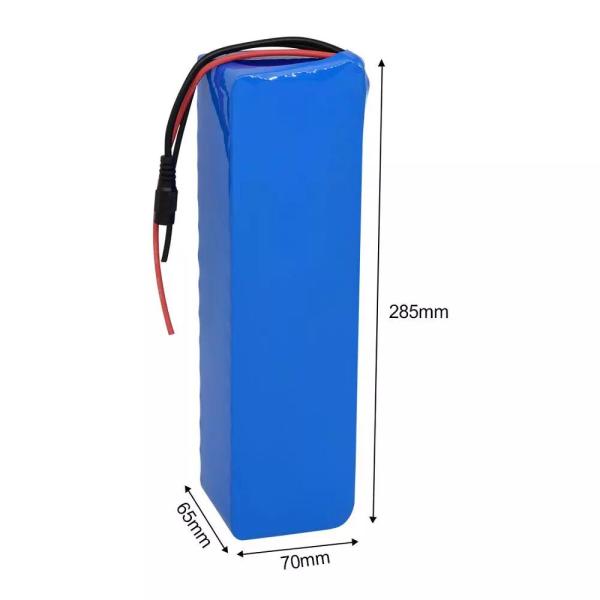 18650 Electric Bike Lithium Battery 36v 12ah