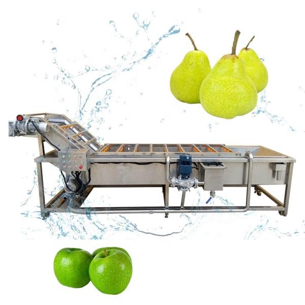 SUS304 Fruit And Vegetable Processing Line , Vegetable Washing And Drying