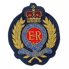 Newly nice custom 90% embroidery patches and badges ​